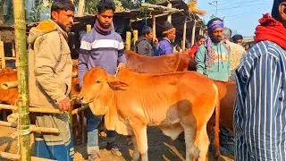 @আজ ১৬ জানুয়ারি