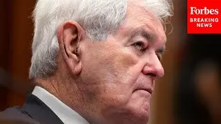 Gingrich Makes The Case For Ending Birthright Citizenship For Children Of Illegal Immigrants Will
