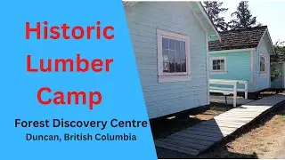 Forest Discovery Museum Historic Buildings