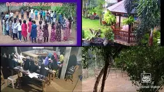 Law College Entrance Exam Past Paper - 2018 IQ Questions Paper Q 11-15.