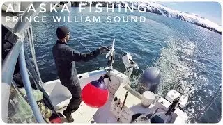 Alaska Fishing Adventure | Prince William Sound & Whittier Harbor