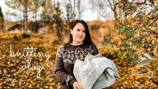 🍁 VLOG 56/2021 | ДВА НОВЫХ ПРОЦЕССА | УЮТНЫЙ  КАРДИГАН | ШАПКА | ВЯЗАНИЕ И НОРВЕЖСКИЕ БУДНИ ☕🍂