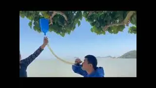 Blue Beer Bongs released by long partner,with adjustable big valve and timer,great for partys!