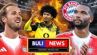 FC BAYERN vor TRANSFER-ÜBERRASCHUNG | KANE MEGA DEAL | ADEYEMI DRAMA & KEHL BVB HAMMER | Buli News