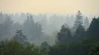 Schools, libraries close as wildfire smoke spreads across the Bay Area