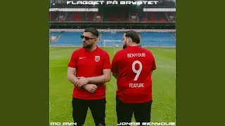 FLAGGET P&Aring; BRYSTET