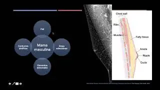 MAMA MASCULINA QUE DEBO CONOCER