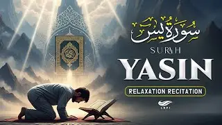 Surah Yasin (Yaseen) سورة يس ✪ Beautiful Quran Recitation ✪