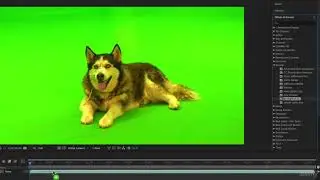 041. Remove Green Screen with Keylight 1 2