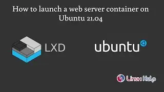 How to launch a web server container on Ubuntu 21.04