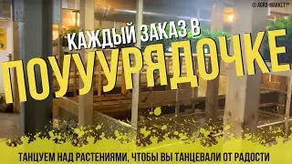 [#тайнокод в описании] Почему агромаркет магазин с идеальным сервисом? | Танцуем над растениями