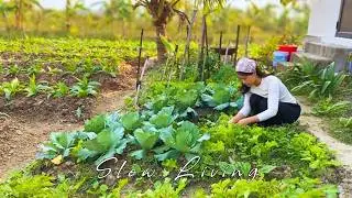 Seasonal Slow Living I Farm to Table Cooking I Winter Garden Harvest I Rustic Kitchen Cooking 🌿