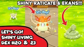 One of My Longest Let's Go! Hunts! Live Shiny Raticate & Ekans in Pokemon LEt's Go! Pikachu & Eevee!