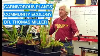 CARNIVOROUS PLANTS + COMMUNITY ECOLOGY with Dr. Thomas Miller FSU