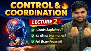 Control & Coordination 🔥 | Lecture 2 | Class 10 Science | Complete Concept