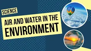 Все о воздухе и воде в окружающей среде