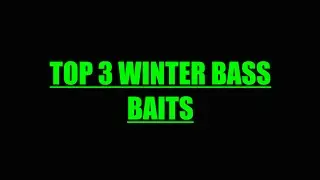 My Top 3 Winter Baits