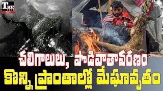 Cold Wave Effect Reaches Andhra Pradesh | Night Temperatures Drop