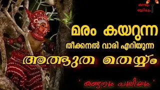 മരം കയറുന്ന ,ഒളിച്ചു കളിക്കുന്ന തെയ്യം ,  കണ്ടനും പുലിയും തെയ്യം