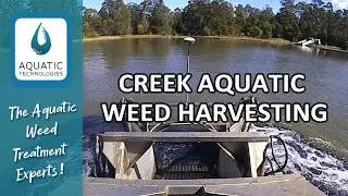 Aquatic Weed Harvesting on a Creek