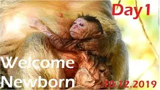 Congratulation! BOOM Celebrated Mom Scarlet Successful Delivery Newborn At 16:00 pm On 10/12/2019.