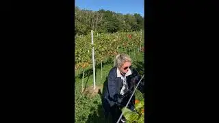 Ashley Saunders is an author of the Wines with Ashley Instagram blog
