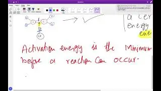 Reaction Kinetics Lecture #1 As level