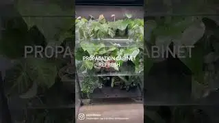 🪴Ikea Greenhouse Cabinet | Rare house plants cabinet for plant propagations 🪴