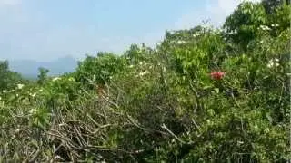 Bellavista da What Khau Tham - By Tundrablu