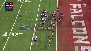 James White Game Winning TD Super Bowl 51