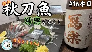 【御酒印帳16本目】特大サンマを刺身と塩焼き！奮発して「冩樂」で晩酌する！