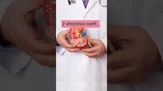 Ignore These 7 Symptoms = Kidney Failure 😨 #facts