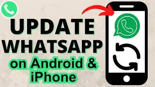 Как обновить WhatsApp на iPhone и Android