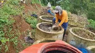 🤩🤩🤩Bakteri ENDOFIT Pangkas Biaya 6 Juta per Hektar sampai Panen. #agrikultur #cigreyeng #banyumas 