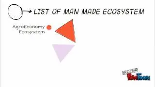 MAN-MADE ECOSYSTEM