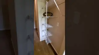 The Paramount Apartments Haven Model