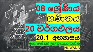 grade 8 maths/20.1 අභ්‍යාසය/20 වර්ගඑලය @nuwana