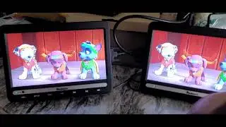 Naviskauto Dual portable DVD player!