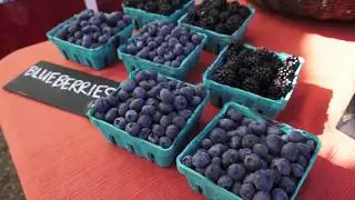 Roots of All Roads - Mobile farm stands and canning class, fresh food access & education