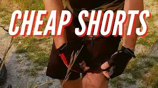 Budget Mountain Bike Shorts - 1000 mile review