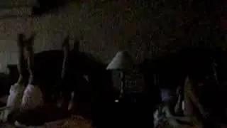 The 