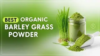 TOP 5 Best Organic Barley Grass Powder 2026 | Barley grass juice vs powder