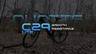 Duotts C29 Lite &mdash; clean optics, 250W EU-legal power, 25 km/h, commuter-ready.