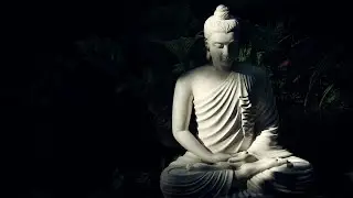 buddha quotes . #MindSetPower  #youtubeshorts | Mehnat status |Motivational status quote | success