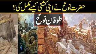 Shaitan Hazrat Nooh ki kashti me kese gusa? | Amazing facts | Islamic facts