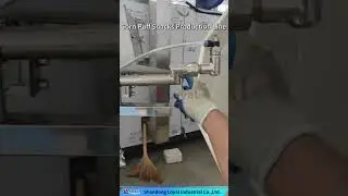 Professional Core Fulling Puffed Snacks Equipment: Stable Performance Custom Shapes Machine