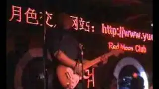 Blue Tomato guitarist