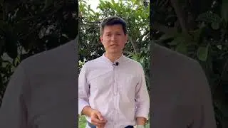 Как легально работать в Европе без паспорта Европейского союза и без рабочей визы? #работазаграницей