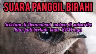 sp birahi full