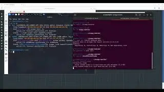 Real-Time Network Traffic Monitor with Scapy & Python | PenTesting Tool